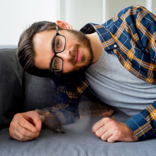 La increíble historia de la Pet Rock (y cómo ha inspirado el nacimiento de los Pomplins)