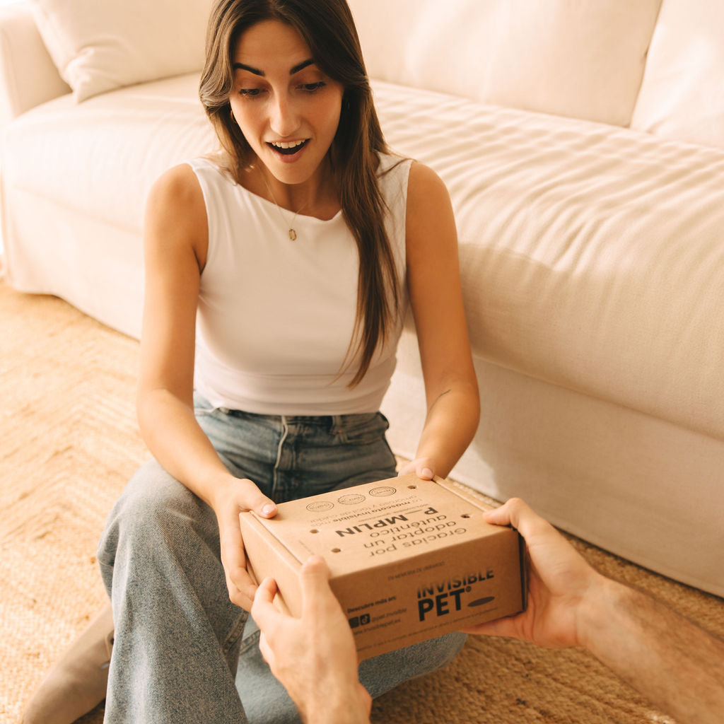 Pomplin Original- Mascota Cuántica para regalos creativos