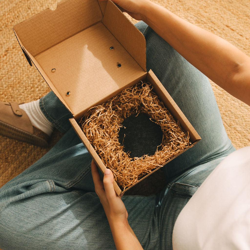 Pomplin Original- Mascota Cuántica para regalos creativos