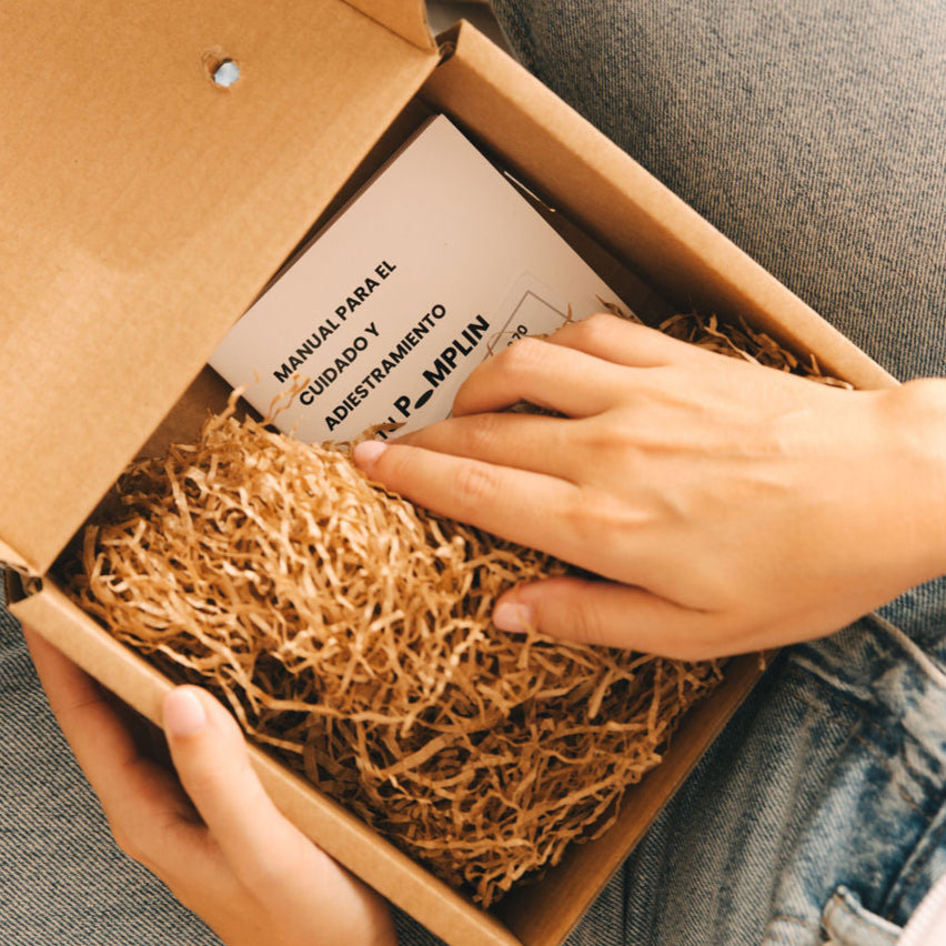 Pomplin Original- Mascota Cuántica para regalos creativos