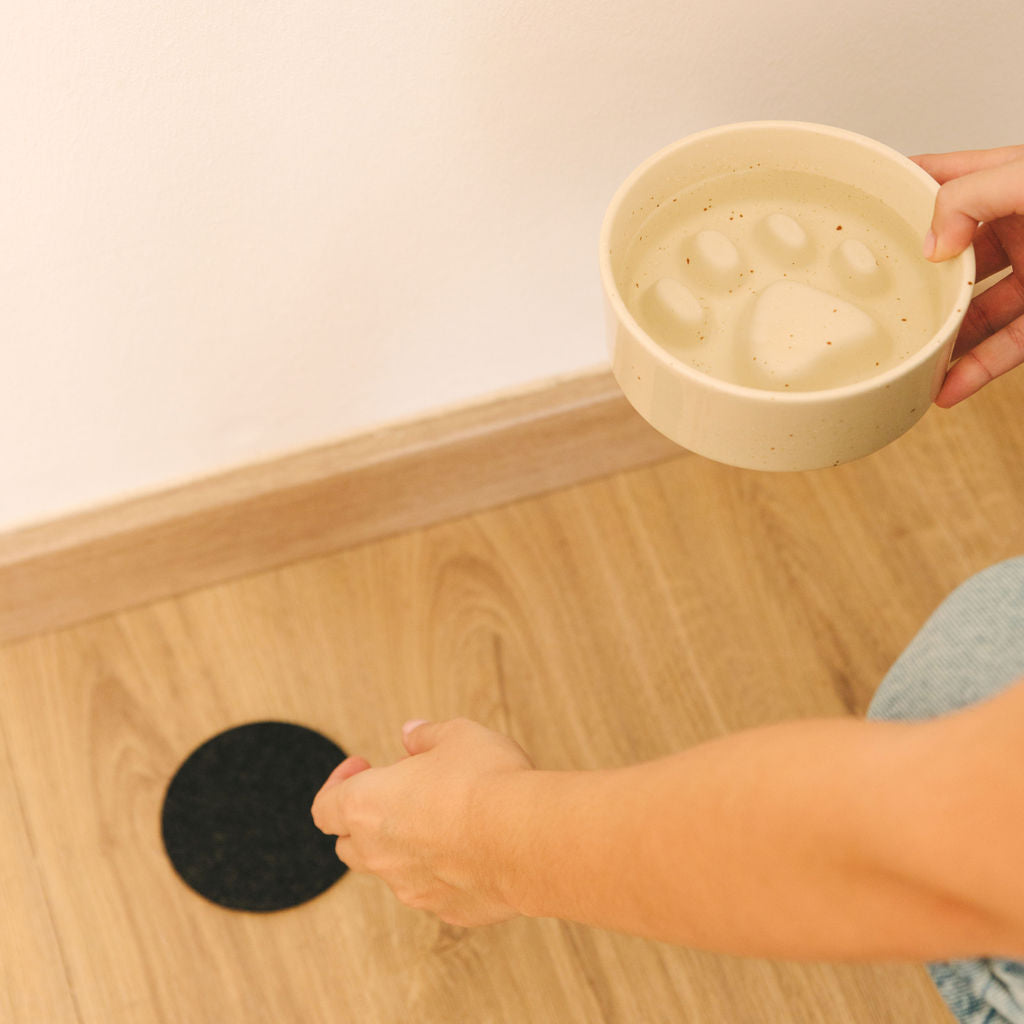 Pomplin Original- Mascota Cuántica para regalos creativos