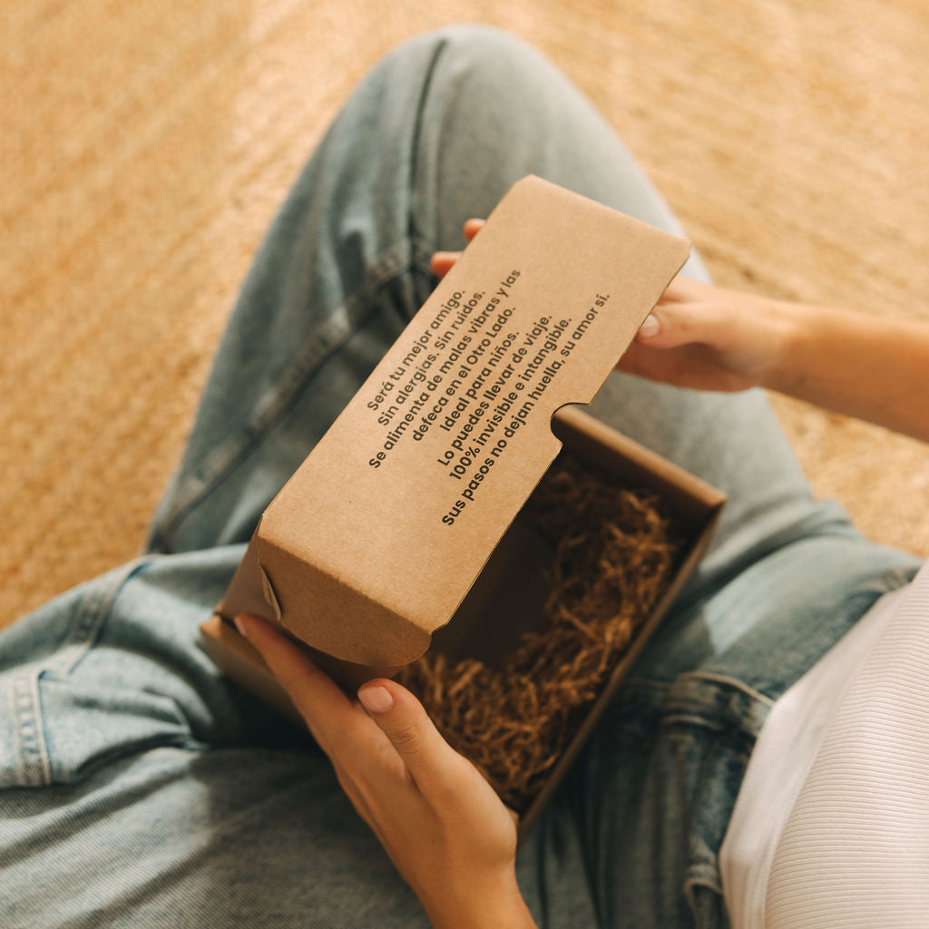 Pomplin Original- Mascota Cuántica para regalos creativos