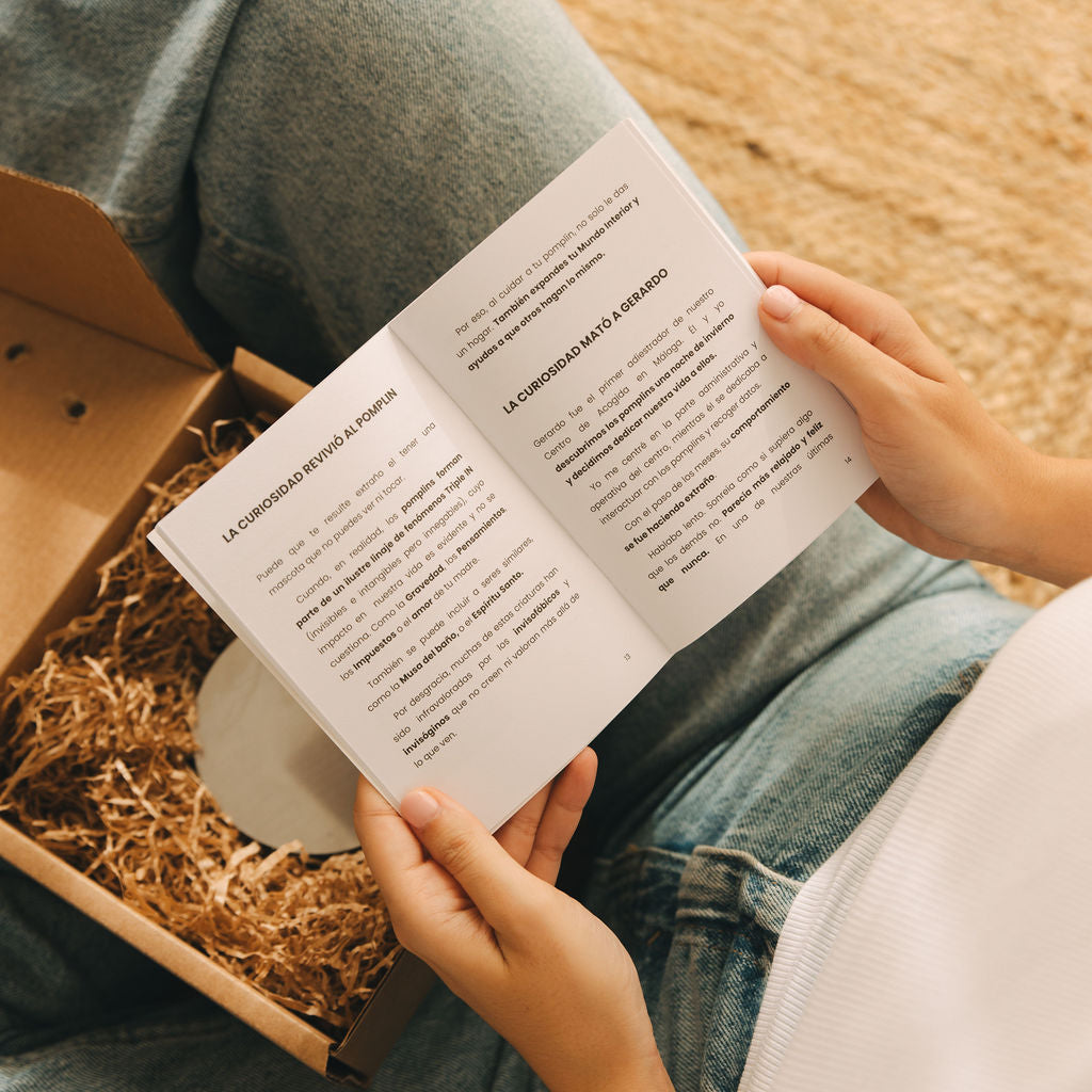 Pomplin Original- Mascota Cuántica para regalos creativos